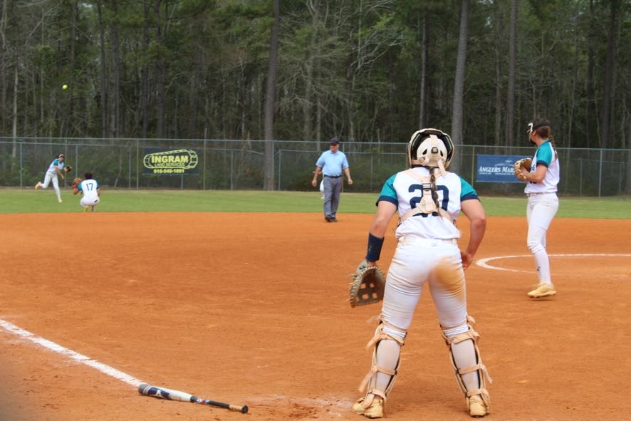 Dolphins earn big win in split with Pitt CC